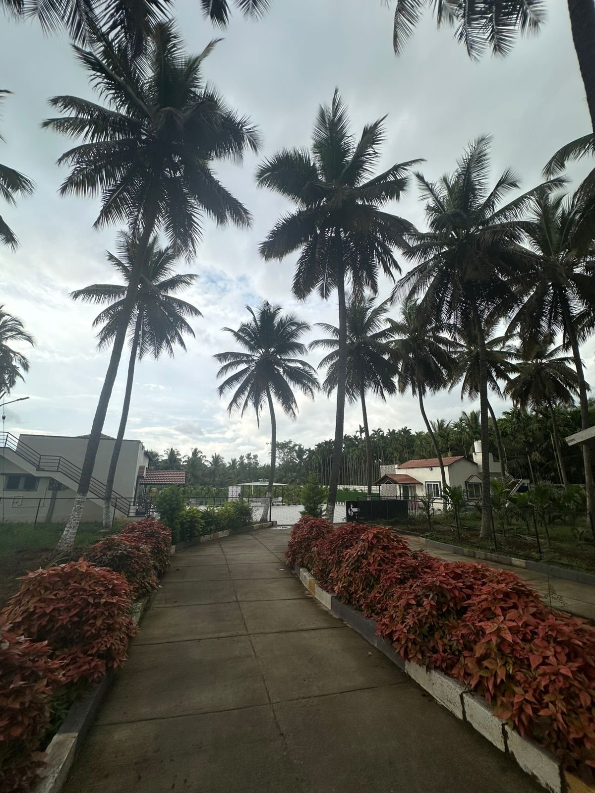 alburooz bangalore 1